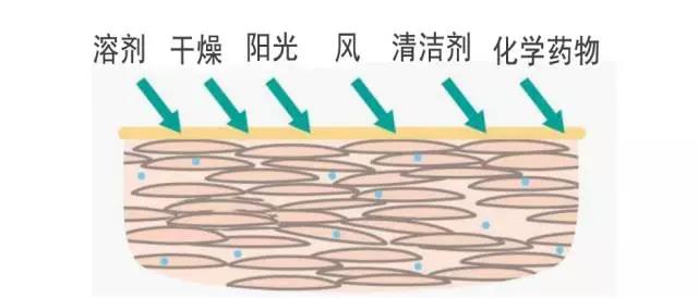 微信圖片_20180914194613.jpg