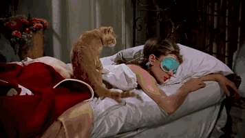 timg (34).gif