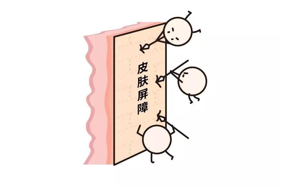 微信圖片_20181019145115.jpg