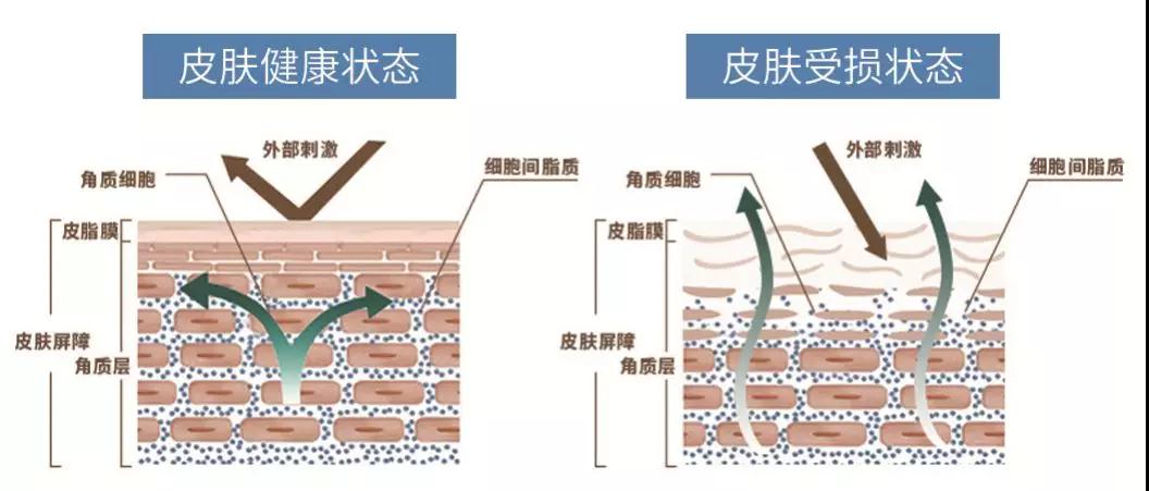 微信圖片_20190403153445.jpg