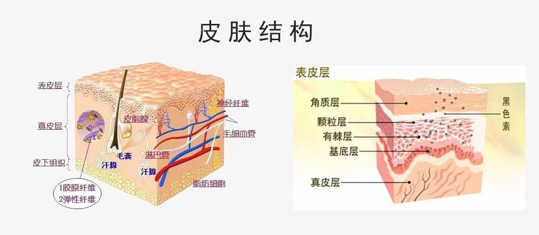 微信圖片_20220823092416.jpg