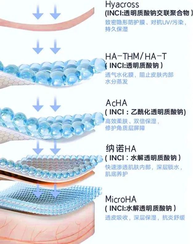 圖片2.png